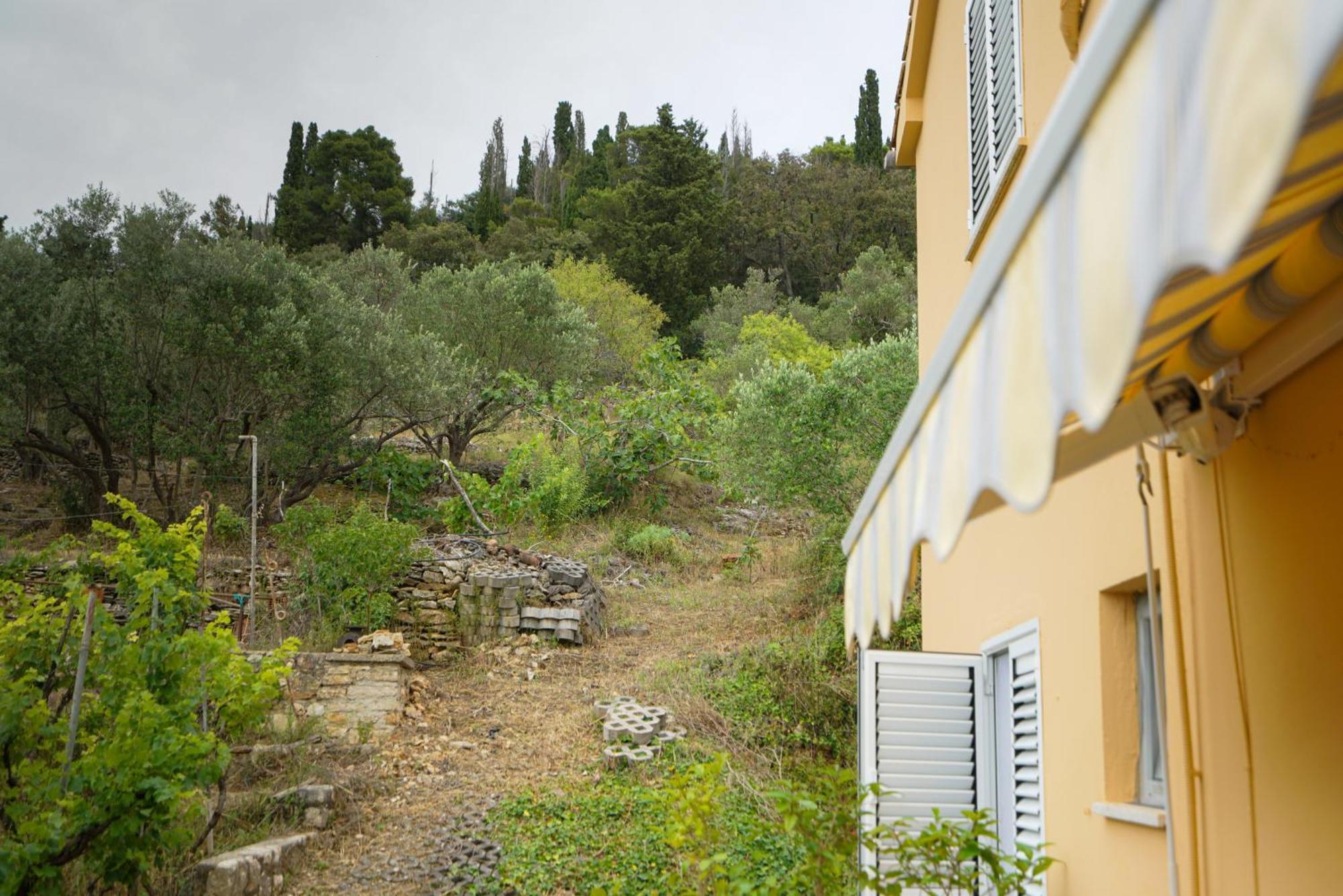 Apartments Osljak Preko Bagian luar foto